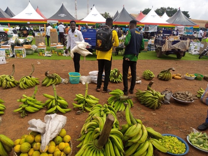 THE 38TH FARMERS DAY CELEBRATION BY THE WESTERN NORTH REGIONAL COORDINATING COUNCILE AND JUABOSO DISTRICT ASSEMBLY AT SEFWI ASAWINSO ON DECEMBER 2ND 2022.